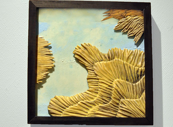 2015 to 2016 portfolio